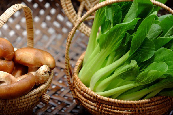 raw-materials-vegans-fresh-green-bok-choy-and-mushroom